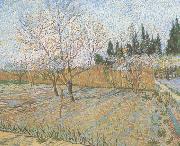 Vincent Van Gogh Orchard with Peach Trees in Blossom (nn04) oil painting on canvas